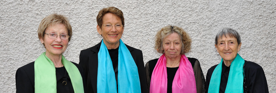 die schals in 4 farben 8164